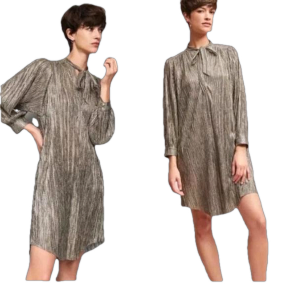 Sabina Musayev Anthropologie Eugine Shirt Dress Metallic Pleated size small